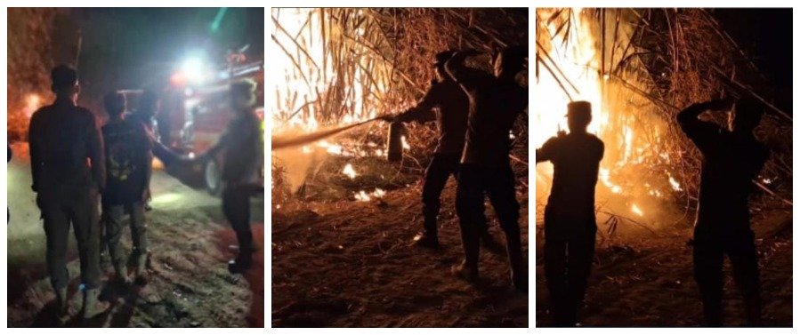 Cegah Api Meluas, Polisi Bantu Damkar Padamkan Kebakaran Kebun Bambu