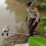 Mayat Perempuan Ditemukan Mengapung di Kali Cisadane Cikokol, Polisi Pastikan Tak Ada Tanda Kekerasan